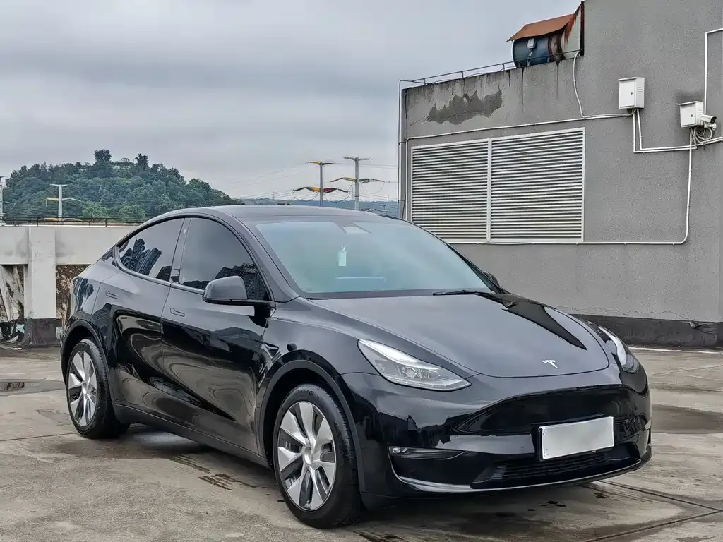 Tesla Model Y — фото 8