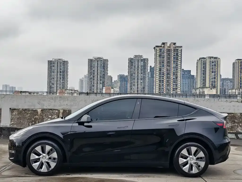 Tesla Model Y — фото 3