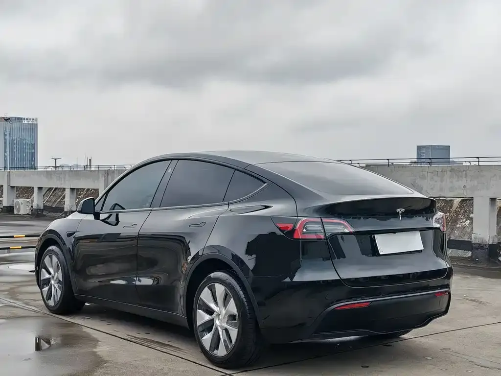 Tesla Model Y — фото 6