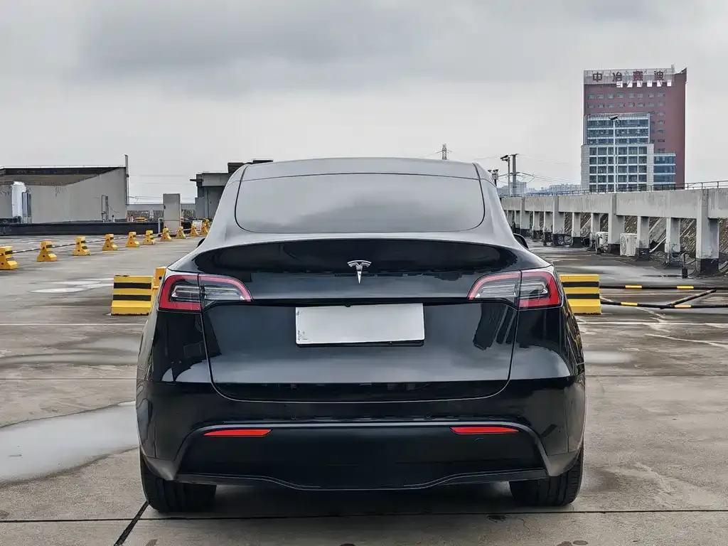 Tesla Model Y — фото 10