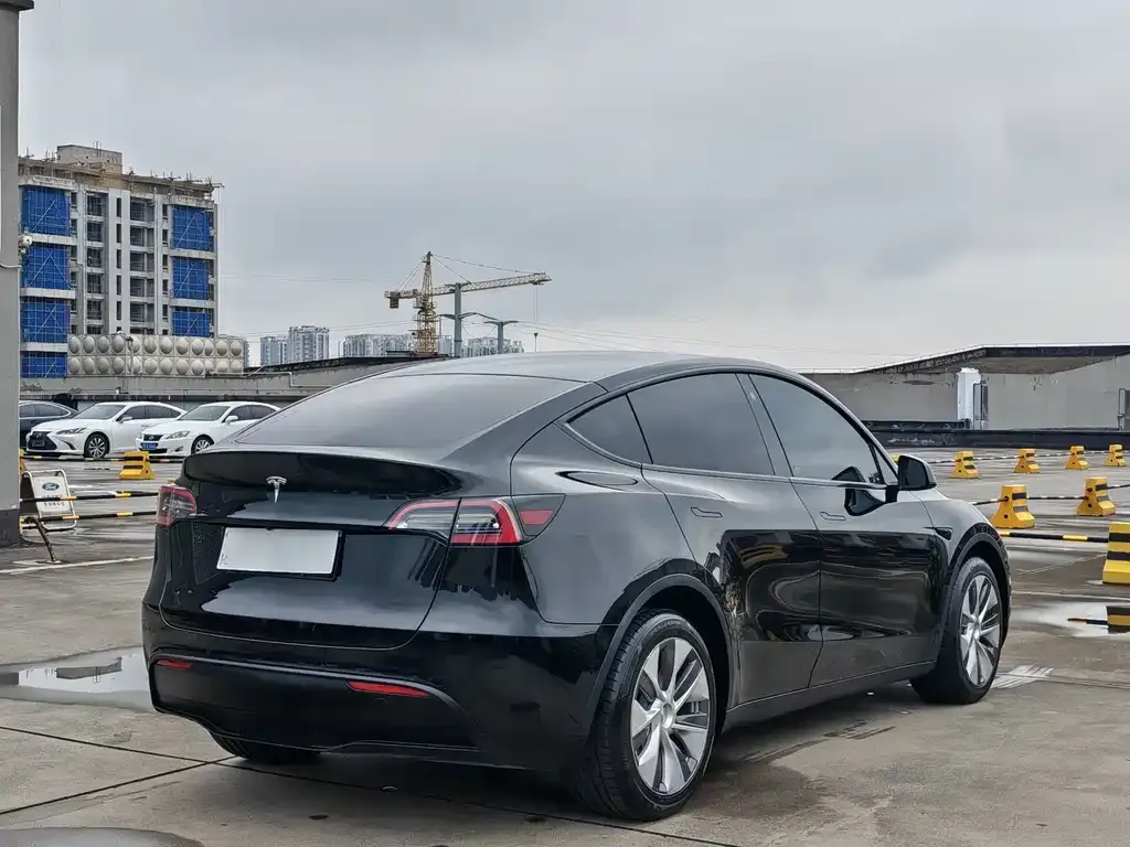 Tesla Model Y — фото 9