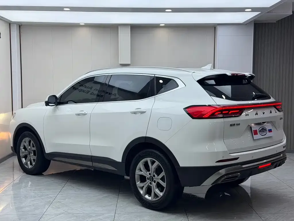 Haval H6 — фото 9