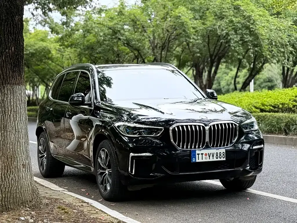 BMW X5 — фото 9