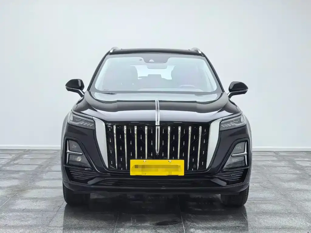 Hongqi HS5 2024 из CN, фото 3