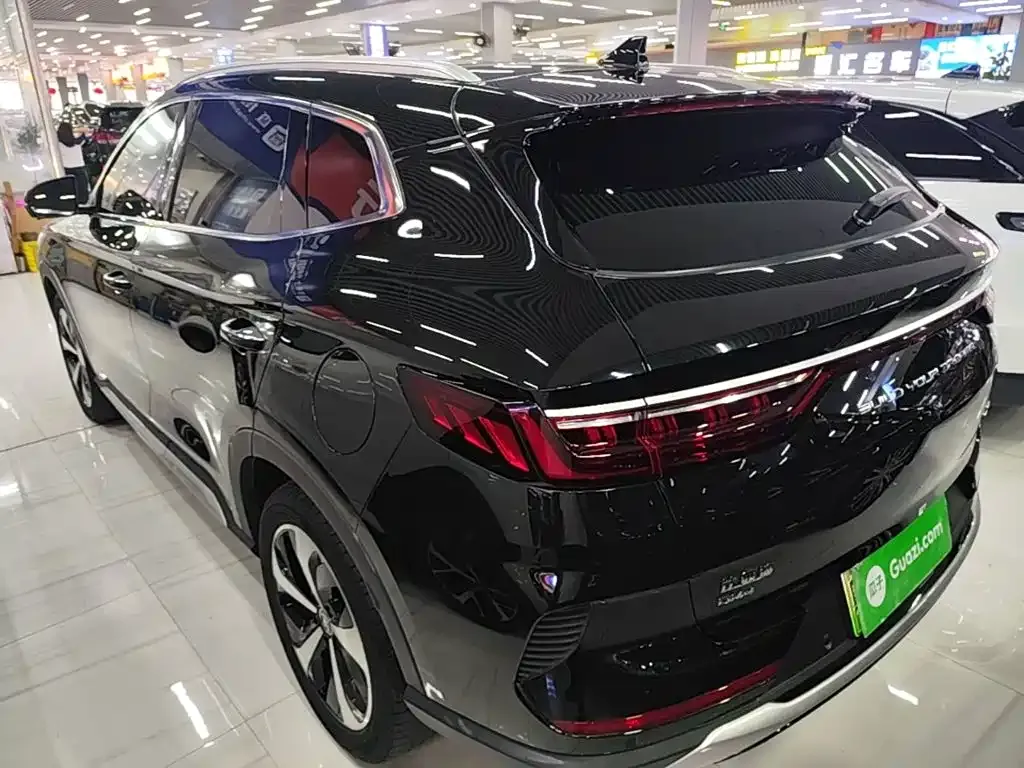 BYD PLUS New Energy — фото 2