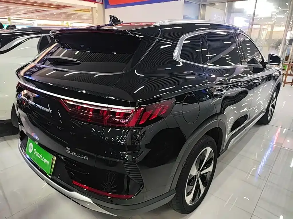 BYD PLUS New Energy — фото 6