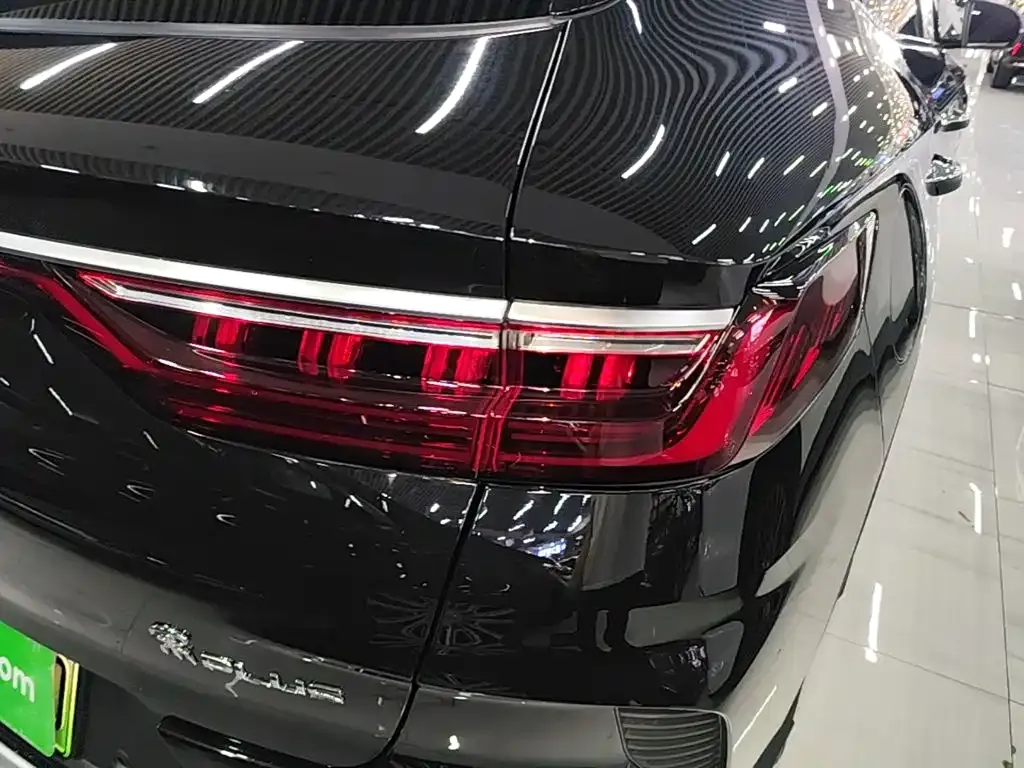 BYD PLUS New Energy — фото 7
