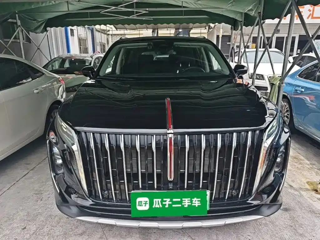 Hongqi HS7 PHEV 2024 из CN, фото 5