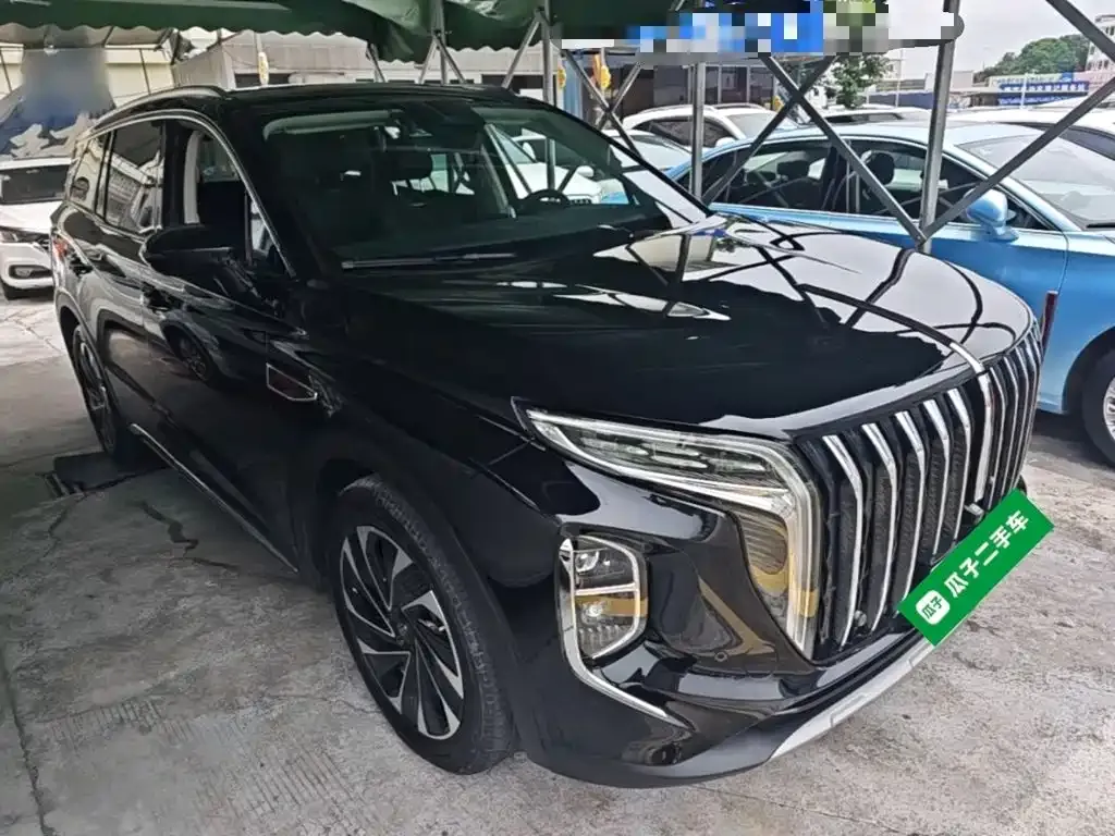 Hongqi HS7 PHEV 2024 из CN, фото 4