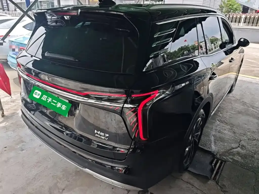 Hongqi HS7 PHEV 2024 из CN, фото 6