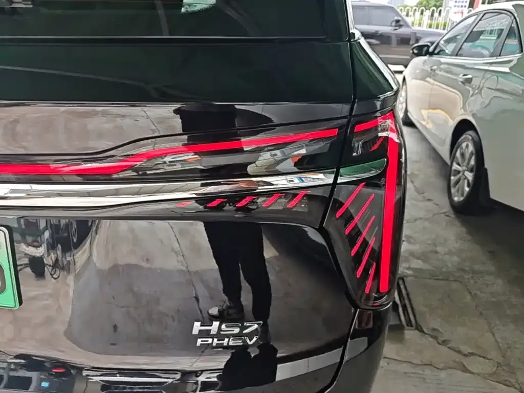 Hongqi HS7 PHEV 2024 из CN, фото 10