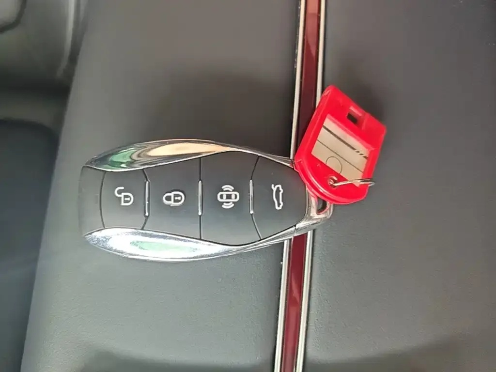 Hongqi HS7 PHEV 2024 из CN, фото 2