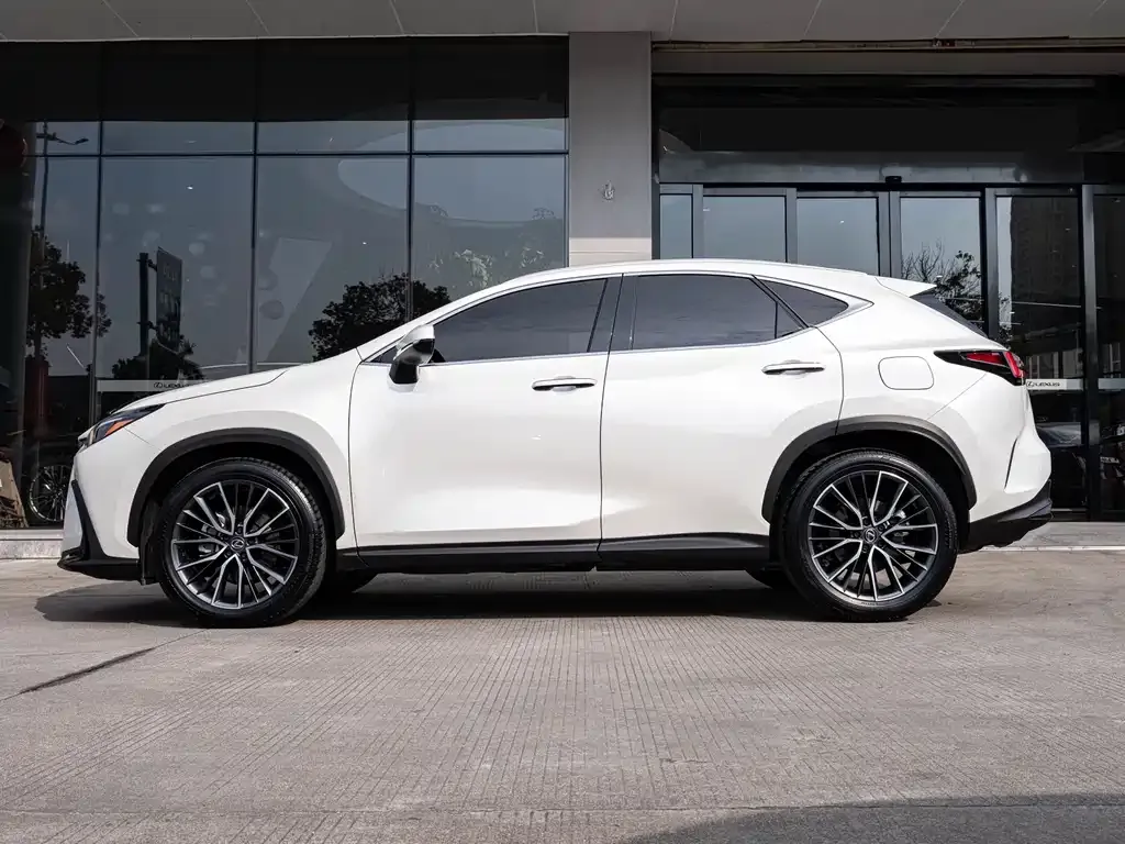 Lexus NX — фото 10