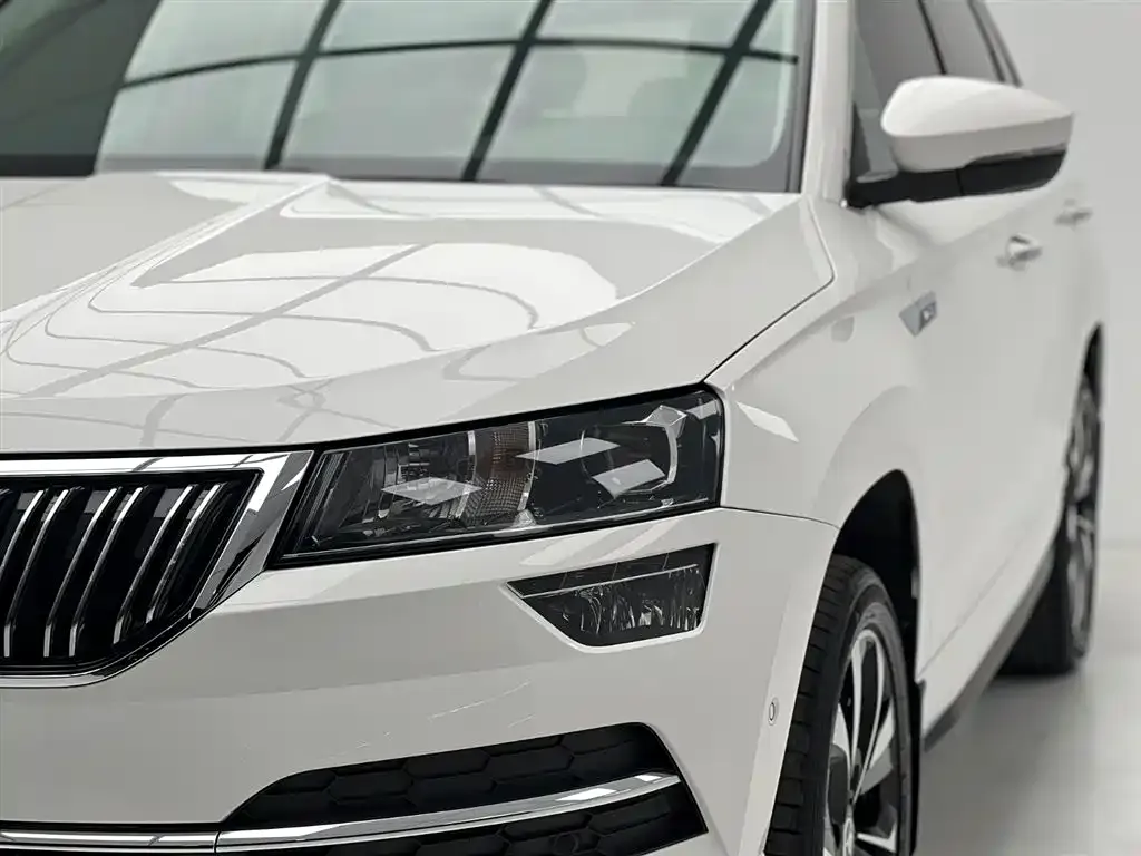 Skoda Karoq — фото 5