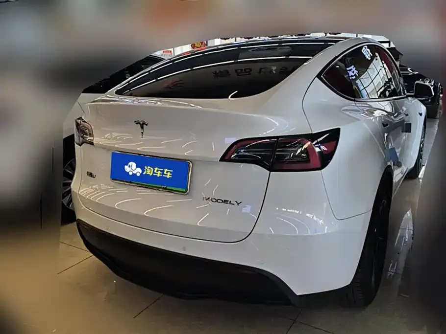 Tesla Model Y — фото 3