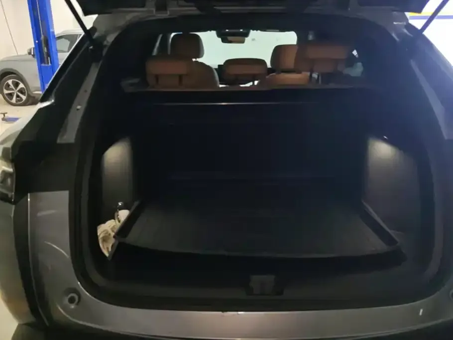 BYD L DM-i — фото 3