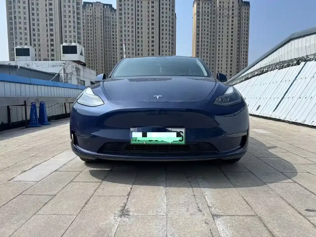 Tesla Model Y — фото 3