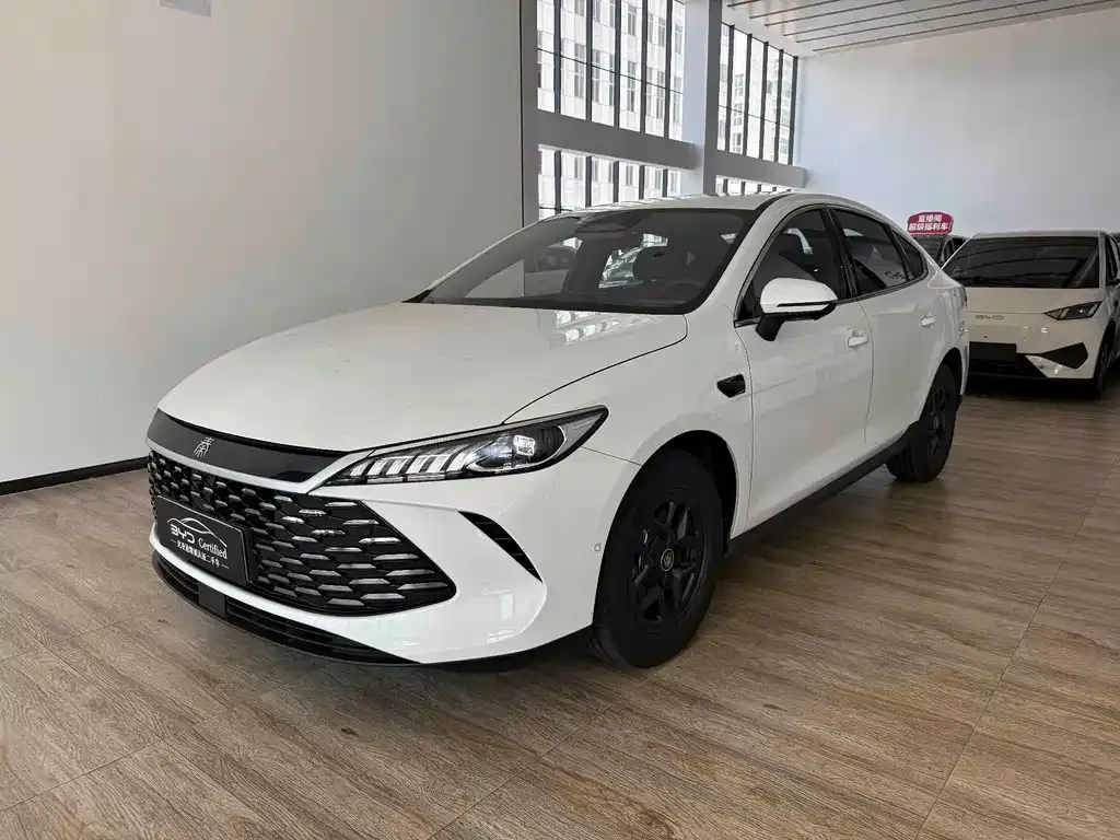 BYD Qin PLUS — фото 1