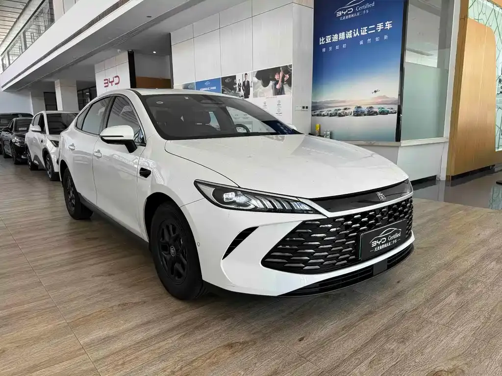 BYD Qin PLUS — фото 10