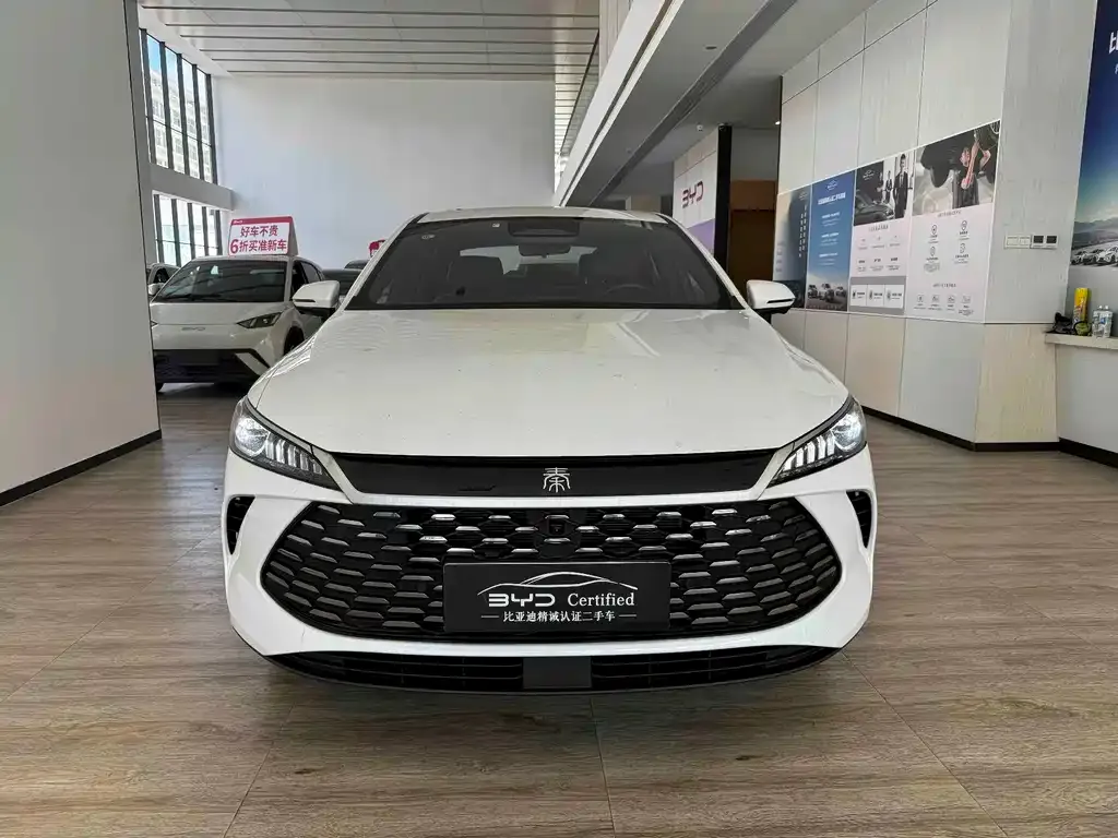 BYD Qin PLUS — фото 5