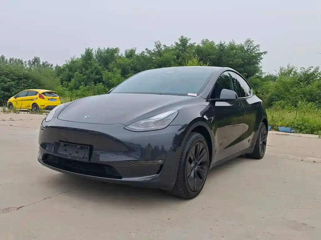 Tesla Model Y — фото 1