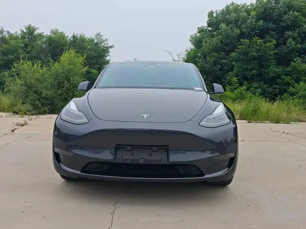 Tesla Model Y — фото 8