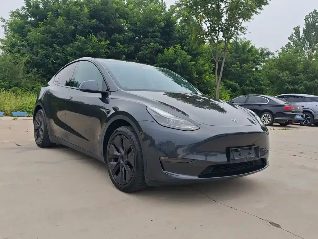 Tesla Model Y — фото 7