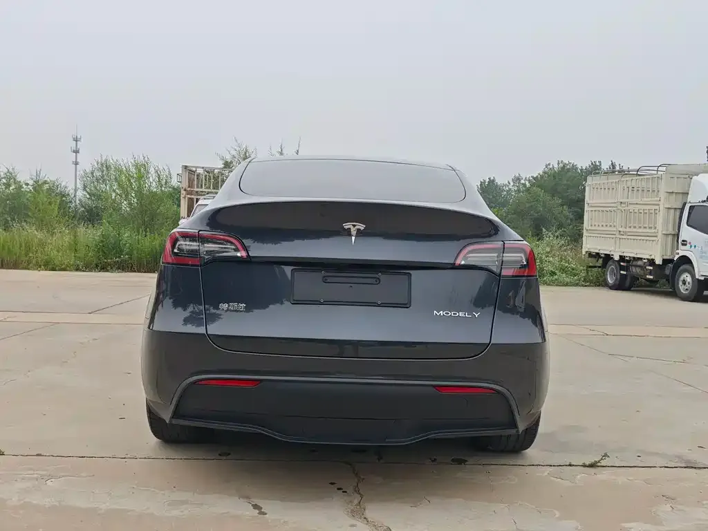 Tesla Model Y — фото 10
