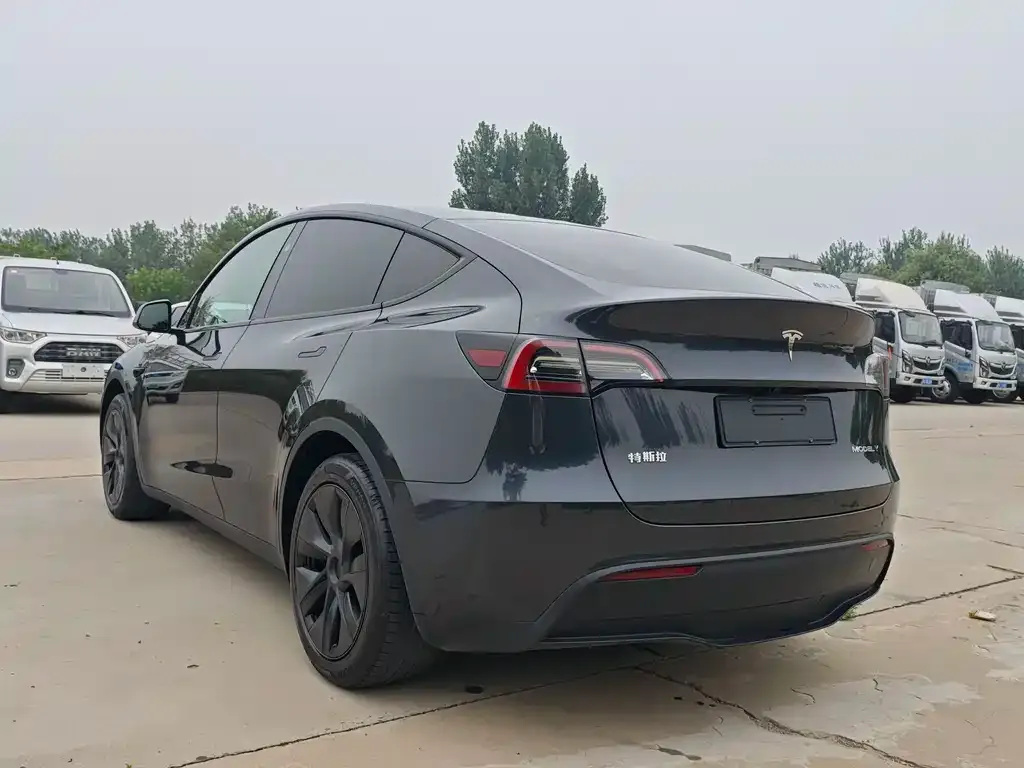 Tesla Model Y — фото 6