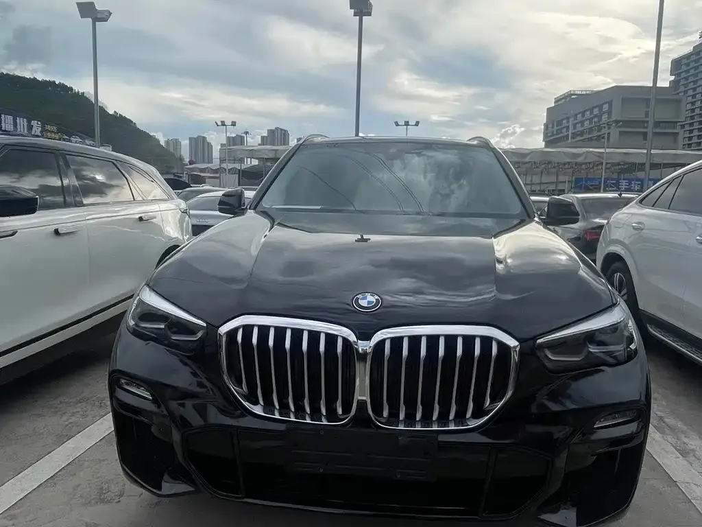 BMW X5 (Import) — фото 6