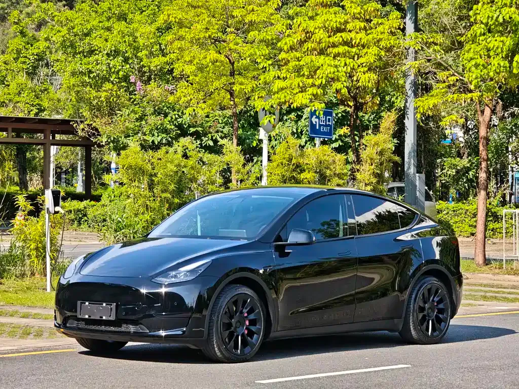 Tesla Model Y — фото 1