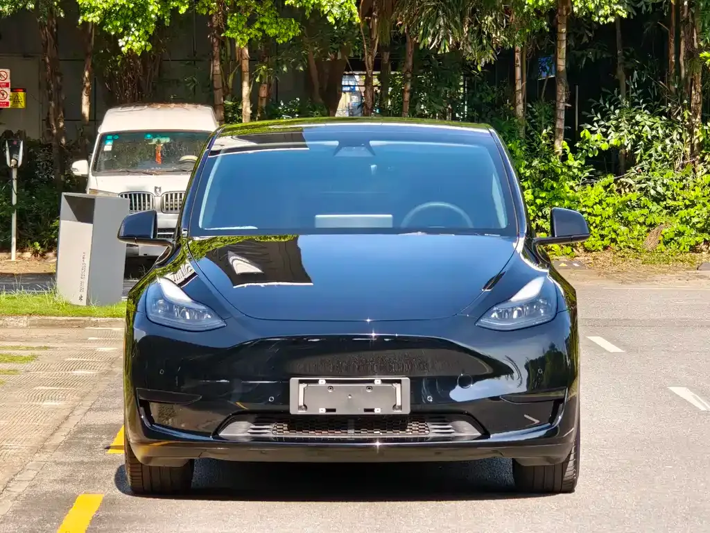 Tesla Model Y — фото 10
