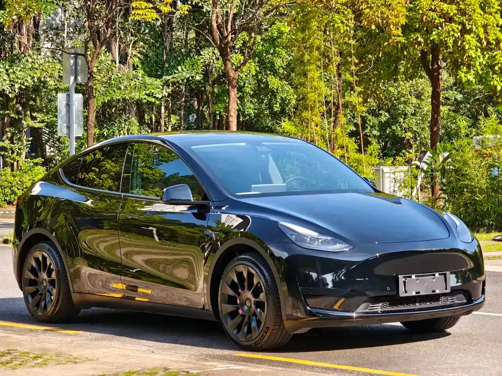 Tesla Model Y — фото 3