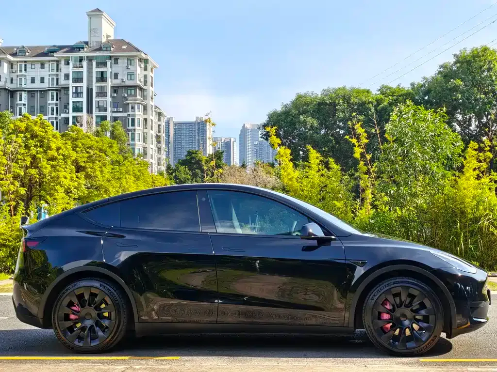 Tesla Model Y — фото 9