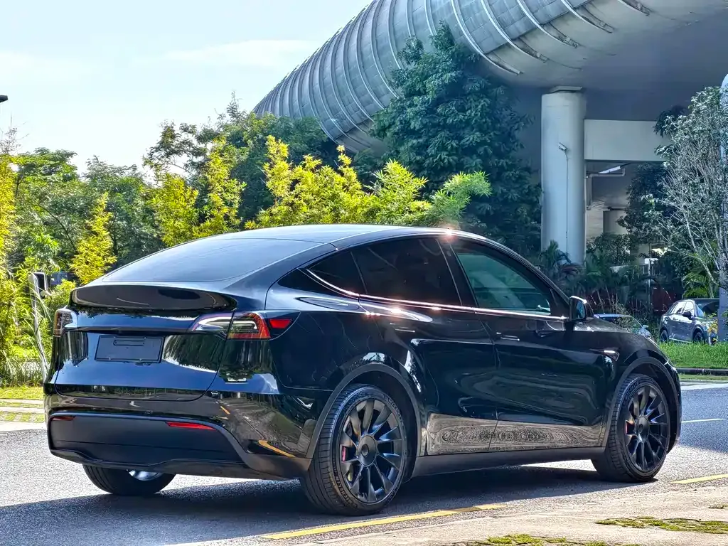 Tesla Model Y — фото 7