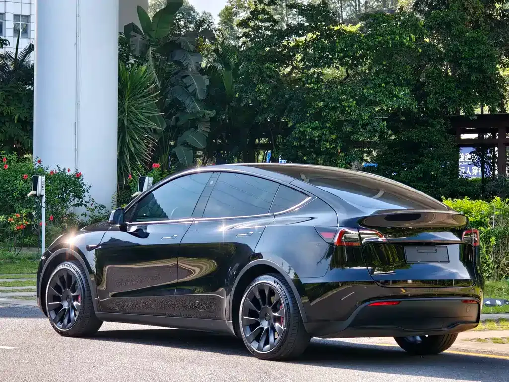 Tesla Model Y — фото 6