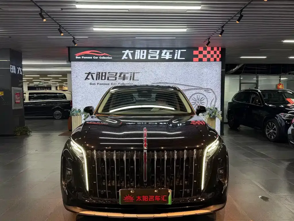 Hongqi HS7 PHEV 2024 из CN, фото 8