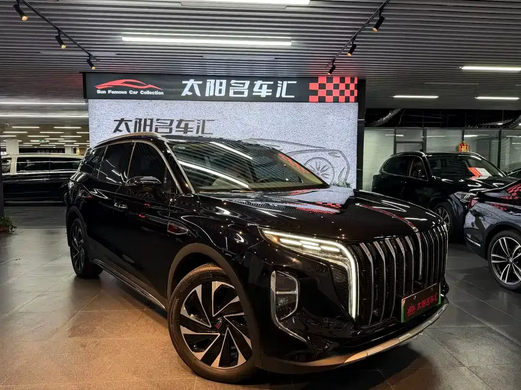 Hongqi HS7 PHEV 2024 из CN, фото 4