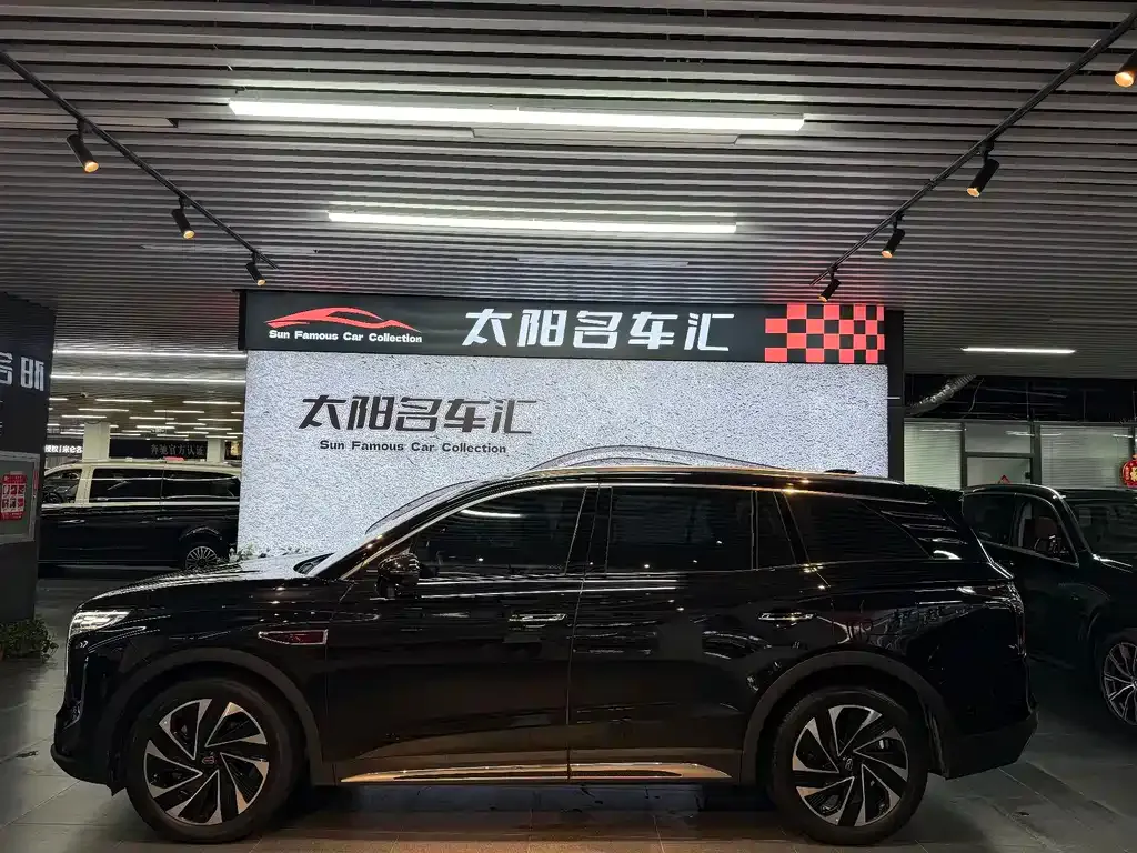 Hongqi HS7 PHEV 2024 из CN, фото 7