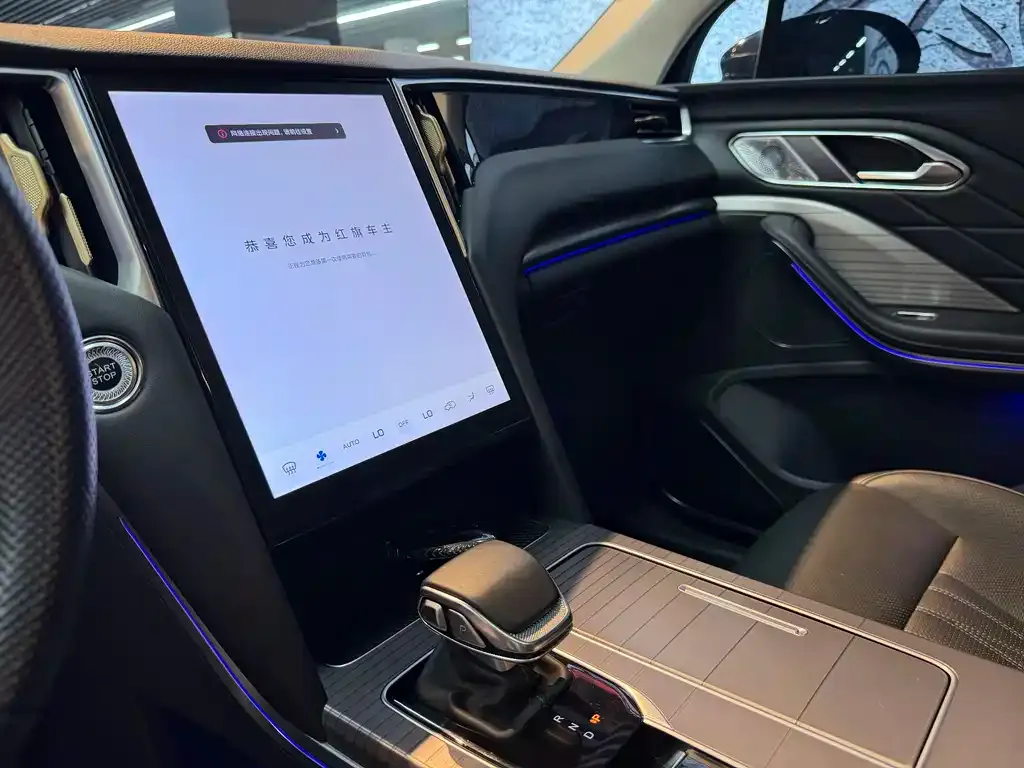 Hongqi HS7 PHEV 2024 из CN, фото 2