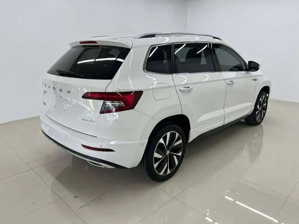Skoda Karoq — фото 10