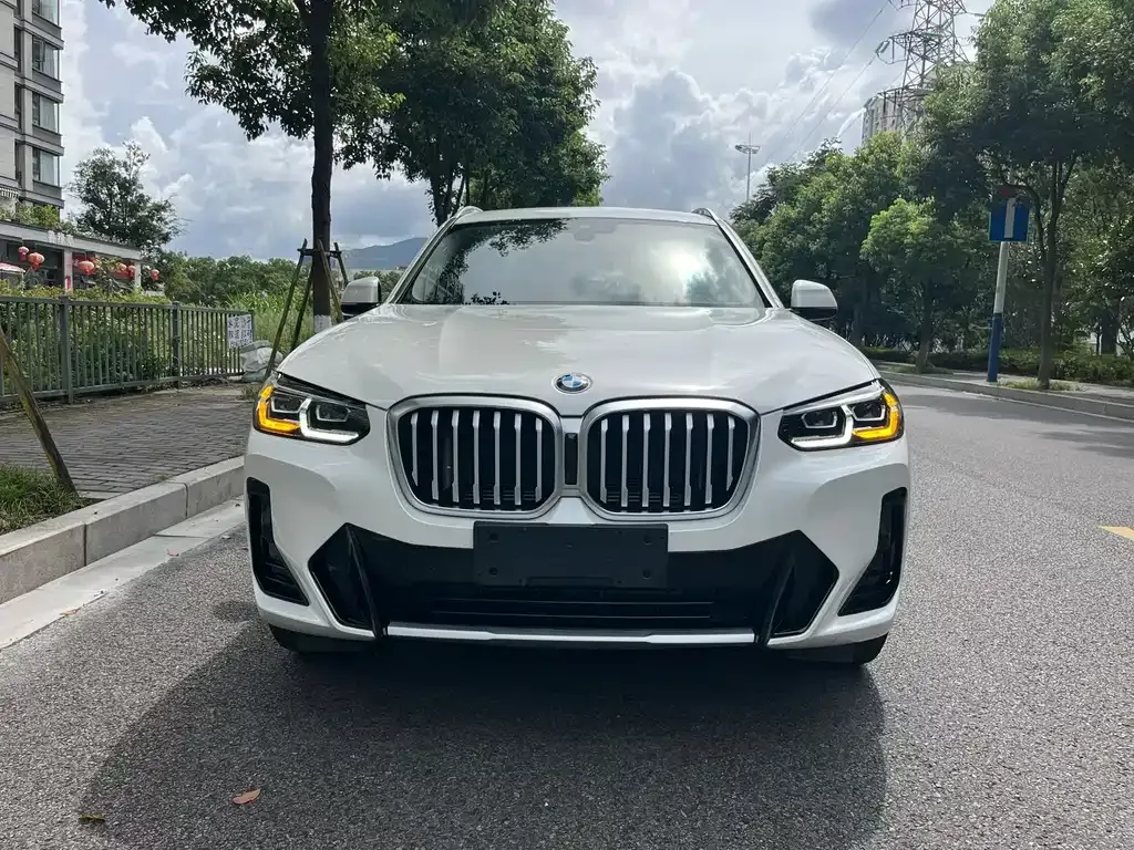 BMW X3 — фото 1