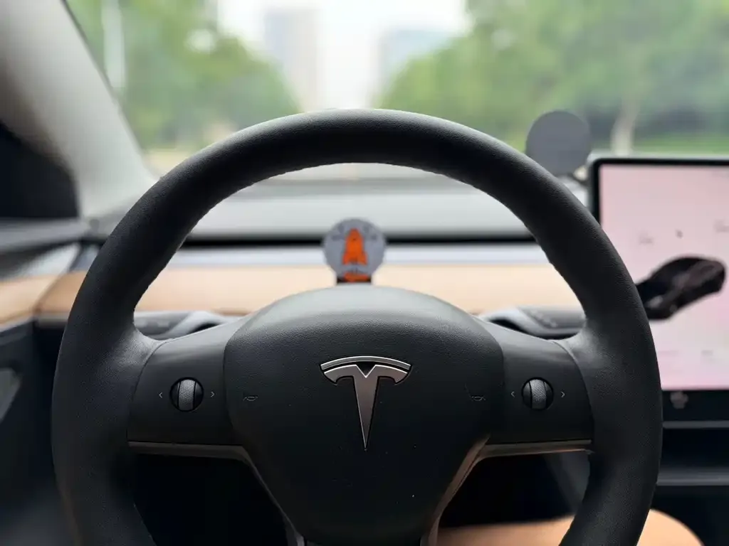 Tesla Model 3 — фото 3