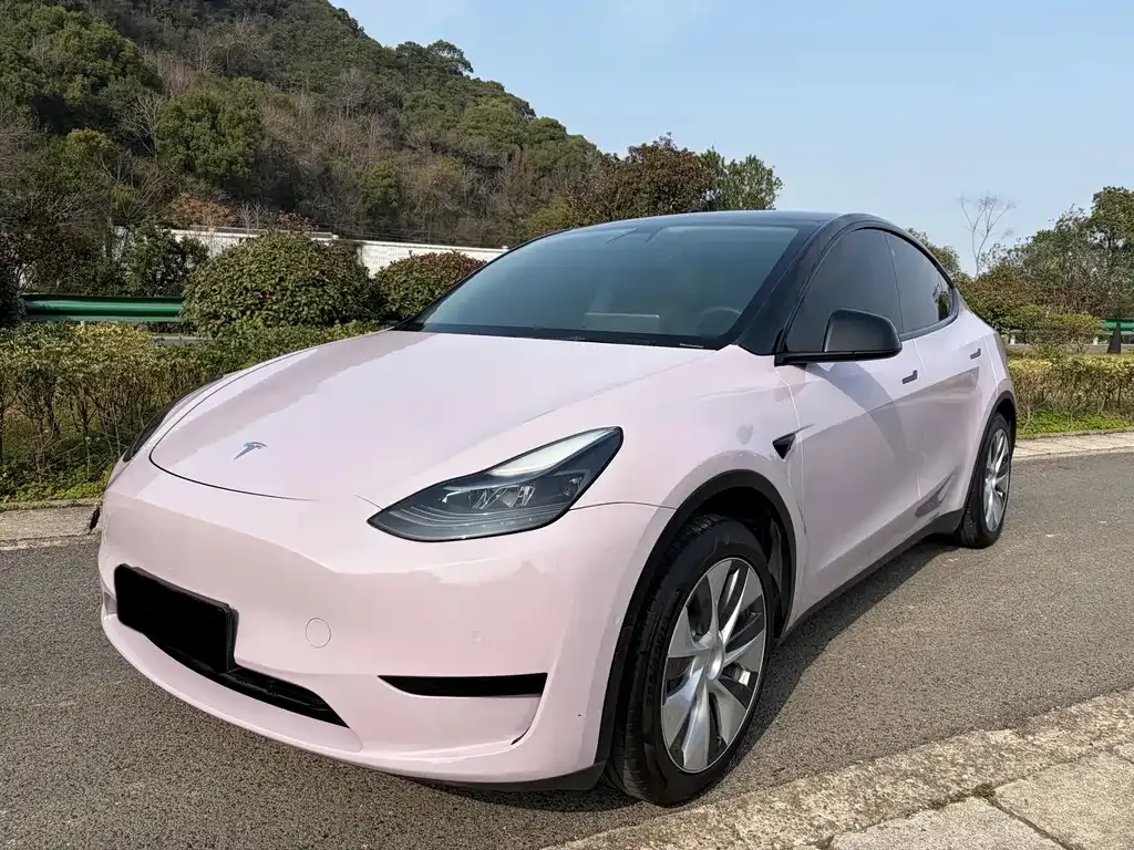 Tesla Model Y — фото 1