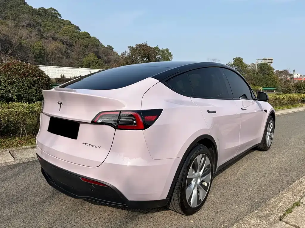 Tesla Model Y — фото 5