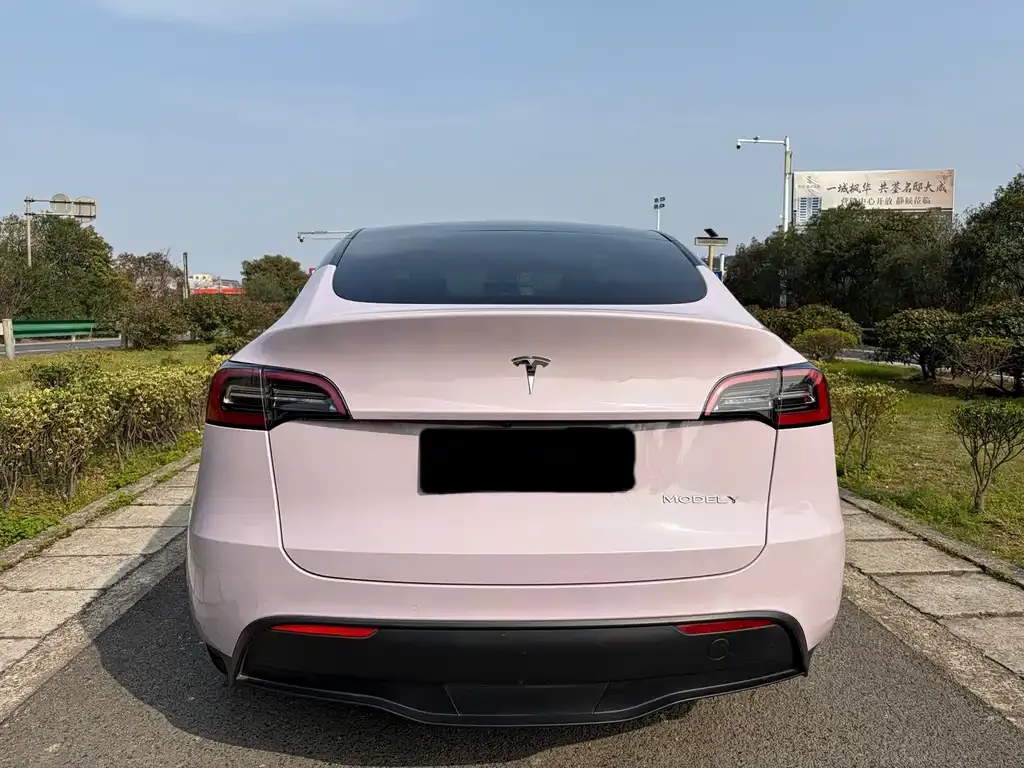Tesla Model Y — фото 9