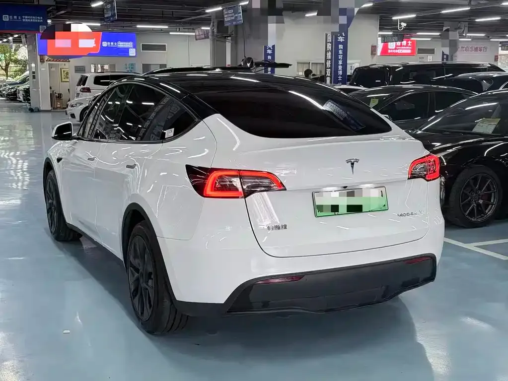 Tesla Model Y — фото 8