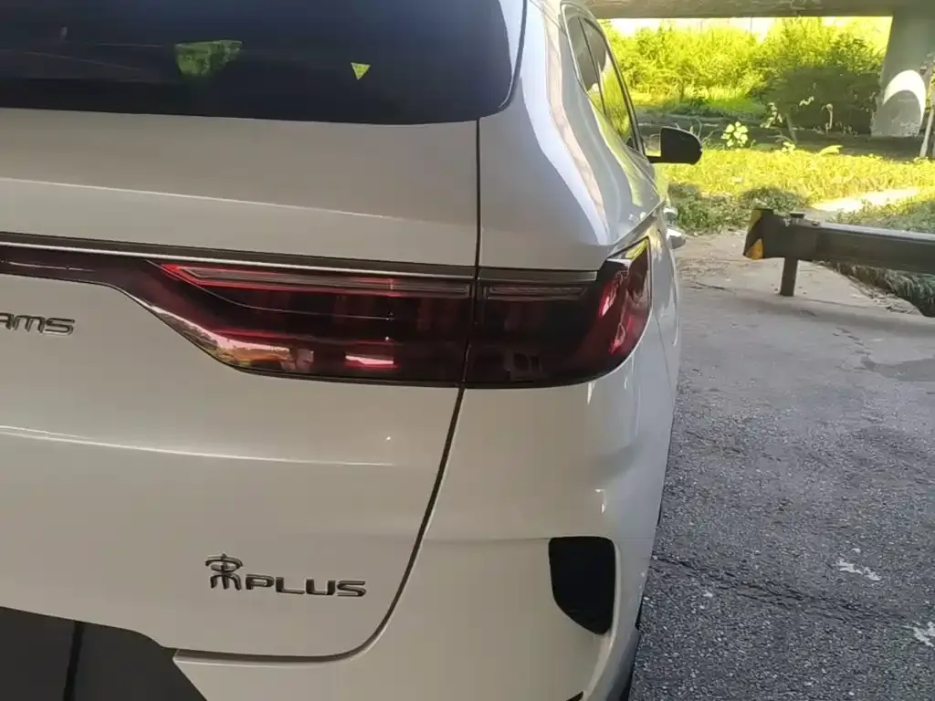 BYD PLUS New Energy — фото 8