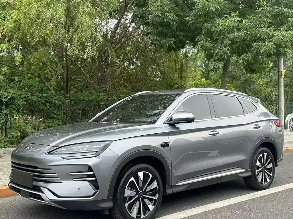 BYD PLUS New Energy — фото 1