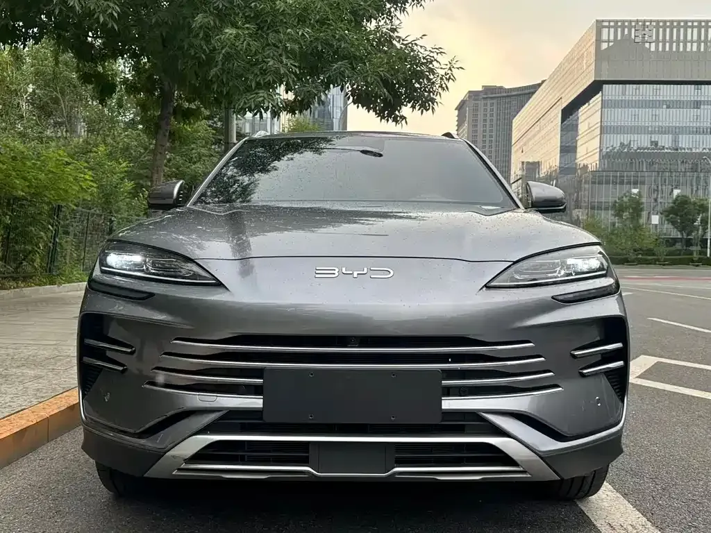 BYD PLUS New Energy — фото 3